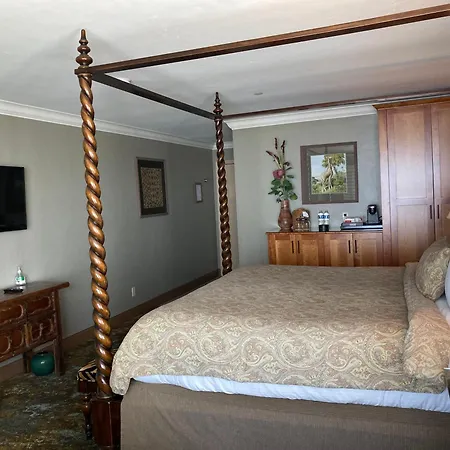 Blue Dolphin Inn-3